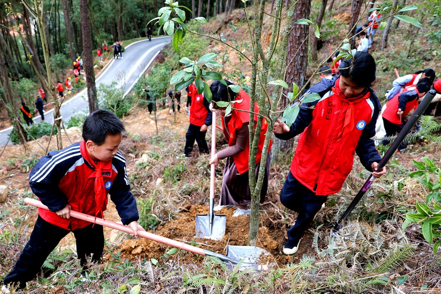 圖為少先隊員在黃振芳家庭林場植樹造林 鄭文敏攝.JPG